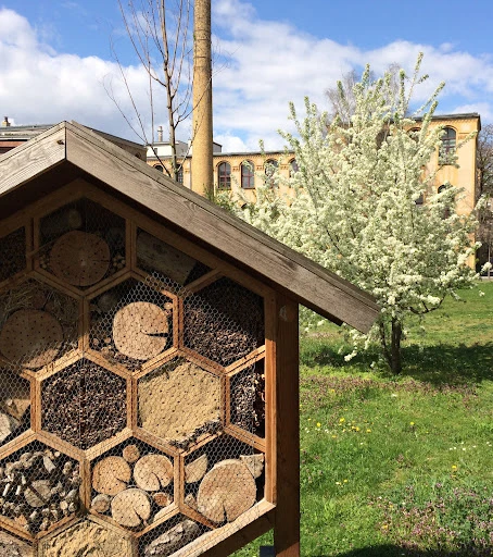 Mensa HU Nord photo 8